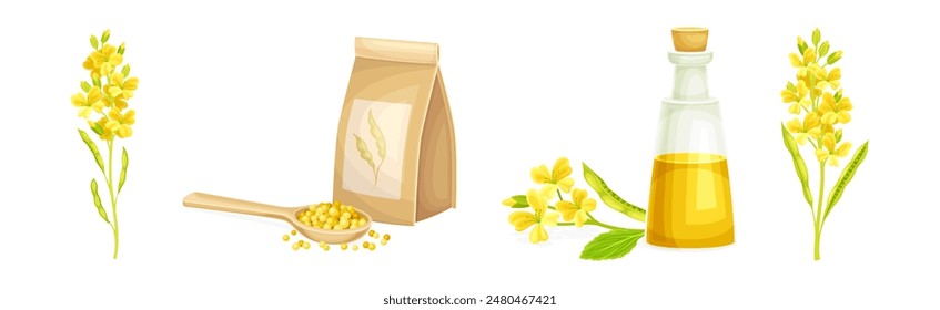 Mustard Yellow Spice and Condiment Vector Set