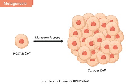 Mutagenesis cell vector illustration, tumor cell proliferation