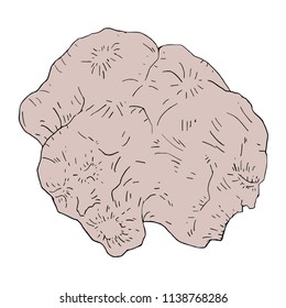 mutant monster illustration