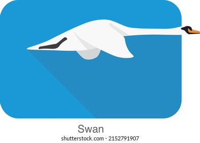 Mute swan flat icon design, cartoon vector illustration