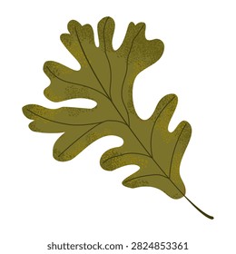 Muted olive green oak leaf vector illustration with grainy noise texture. Isolated autumn botanical clipart in flat style for nature designs, seasonal patterns, Thanksgiving cards, and decor.