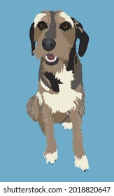 Mutt dog vector drawing - dog, man's best friend
