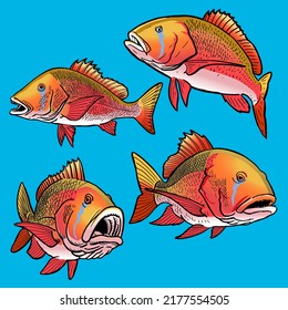 Mutton Snapper fish template for premium pack