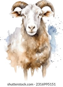 Mutton Aquarell-Illustration. Handgezeichnet Unterwasserelement-Design. Künstlerische Vektorgrafik-Design-Element. Illustration für Grußkarten, Druck und andere Design-Projekte.