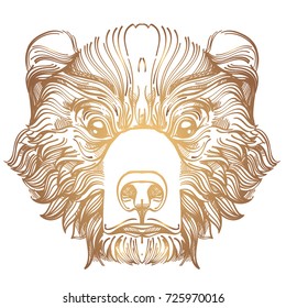 Muzzle bear illustration for creating sketches of tattoos, printing on clothes, design of posters and leaflets.
