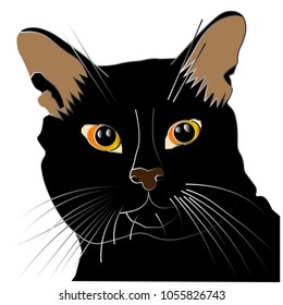 Muzzle Black Cat Dark Eyes Brown Stock Vector (Royalty Free) 1055826743 ...