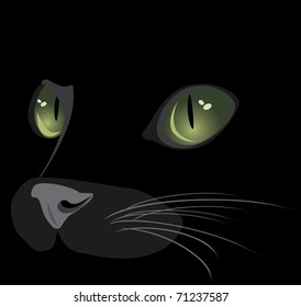 Muzzle of black cat. Vector