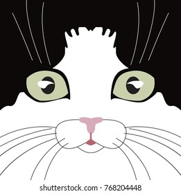 muzzle of a black and white cat with green eyes in the form of a square