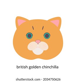 Der Maulkorb einer britischen Katze mit goldener Chinchilla-Farbe und einer Inschrift auf weißem Hintergrund. Vektorgrafik im modernen Flachstil für Webdesign, Postkarten, Cover, Poster.