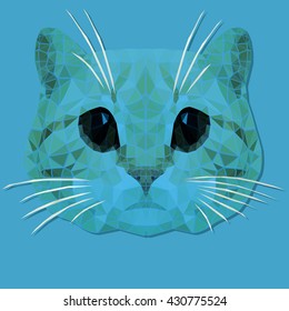 Muzzle of a cat with big black eyes on a blue background.