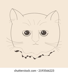 muzzle of a cat drawn by lines on a light background