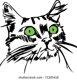 muzzle cat with green eyes