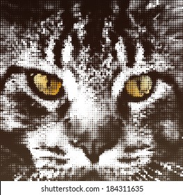 Muzzle cat maine coon in halftone style. Vector concept illustration