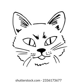 Muzzle of a cat, pets. Simple black outline vector drawing. Sketch in ink.