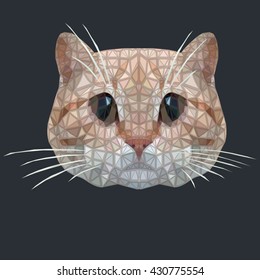 Muzzle of a cat from small triangles. Work is represented on a contrast black background.