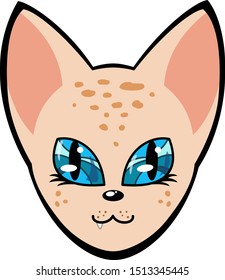 muzzle of a cat is a sphinx