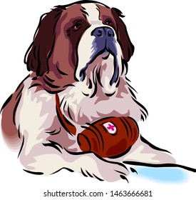Muzzle collie dog. On the neck medical first-aid kit. Rescuer Scottish Sheepdog.