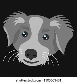 Muzzle dark grey dog on black dackgraund. Vector drawing of pet. Simplified image of animal.