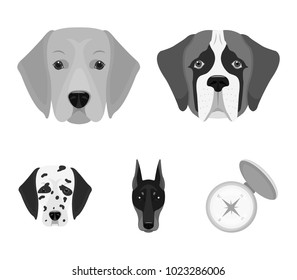 Muzzle of different breeds of dogs.Dog of the breed St. Bernard, golden retriever, Doberman, Dalmatian set collection icons in monochrome style vector symbol stock illustration web.