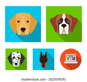 Muzzle of different breeds of dogs.Dog of the breed St. Bernard, golden retriever, Doberman, Dalmatian set collection icons in flat style vector symbol stock illustration web.