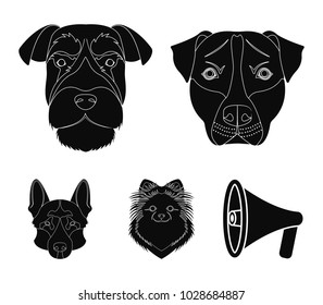 Muzzle of different breeds of dogs.Dog breed Stafford, Spitz, Risenschnauzer, German Shepherd set collection icons in black style vector symbol stock illustration web.