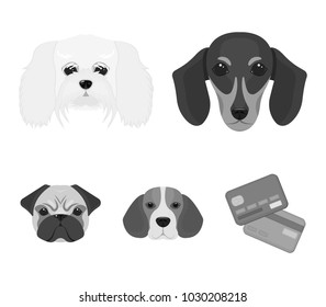 Muzzle of different breeds of dogs.Dog breed of dachshund, lapdog, beagle, pug set collection icons in monochrome style vector symbol stock illustration web.