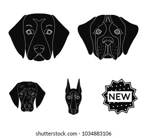 Muzzle of different breeds of dogs.Dog of the breed St. Bernard, golden retriever, Doberman, Dalmatian set collection icons in black style vector symbol stock illustration web.