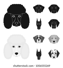 Muzzle of different breeds of dogs.Dog of the breed St. Bernard, golden retriever, Doberman, Dalmatian set collection icons in black,monochrom style vector symbol stock illustration web.
