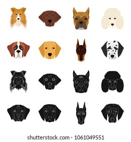 Muzzle of different breeds of dogs.Dog of the breed St. Bernard, golden retriever, Doberman, Dalmatian set collection icons in black,cartoon style vector symbol stock illustration web.