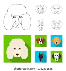 Muzzle of different breeds of dogs.Dog of the breed St. Bernard, golden retriever, Doberman, Dalmatian set collection icons in outline,flat style vector symbol stock illustration web.