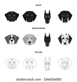 Muzzle of different breeds of dogs.Dog of the breed St. Bernard, golden retriever, Doberman, Dalmatian set collection icons in black,monochrome,outline style vector symbol stock illustration web.