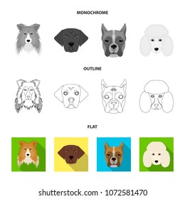 Muzzle of different breeds of dogs.Dog of the breed St. Bernard, golden retriever, Doberman, Dalmatian set collection icons in flat,outline,monochrome style vector symbol stock illustration web.