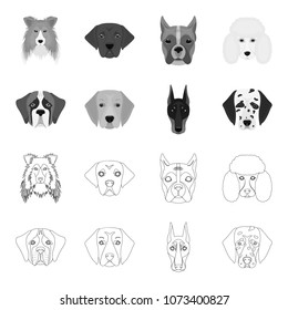 Muzzle of different breeds of dogs.Dog of the breed St. Bernard, golden retriever, Doberman, Dalmatian set collection icons in outline,monochrome style vector symbol stock illustration web.
