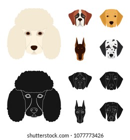 Muzzle of different breeds of dogs.Dog of the breed St. Bernard, golden retriever, Doberman, Dalmatian set collection icons in cartoon,black style vector symbol stock illustration web.