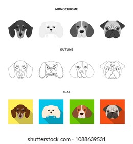 Muzzle of different breeds of dogs.Dog breed of dachshund, lapdog, beagle, pug set collection icons in flat,outline,monochrome style vector symbol stock illustration web.