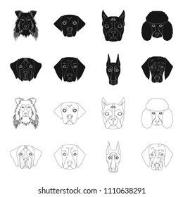 Muzzle of different breeds of dogs.Dog of the breed St. Bernard, golden retriever, Doberman, Dalmatian set collection icons in black,outline style vector symbol stock illustration web.