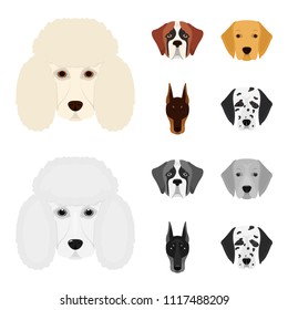 Muzzle of different breeds of dogs.Dog of the breed St. Bernard, golden retriever, Doberman, Dalmatian set collection icons in cartoon,monochrome style vector symbol stock illustration web.