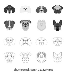 Muzzle of different breeds of dogs.Dog breed Stafford, Spitz, Risenschnauzer, German Shepherd set collection icons in outline,monochrome style vector symbol stock illustration web.