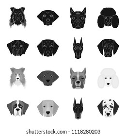 Muzzle of different breeds of dogs.Dog of the breed St. Bernard, golden retriever, Doberman, Dalmatian set collection icons in black,monochrome style vector symbol stock illustration web.