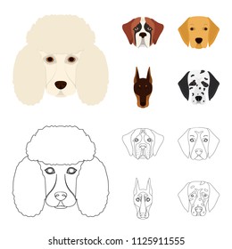 Muzzle of different breeds of dogs.Dog of the breed St. Bernard, golden retriever, Doberman, Dalmatian set collection icons in cartoon,outline style vector symbol stock illustration web.