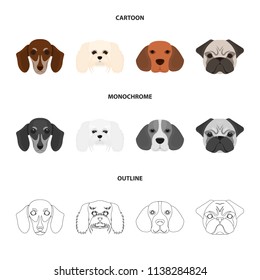 Muzzle of different breeds of dogs.Dog breed of dachshund, lapdog, beagle, pug set collection icons in cartoon,outline,monochrome style vector symbol stock illustration web.