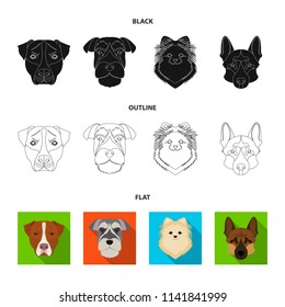 Muzzle of different breeds of dogs.Dog breed Stafford, Spitz, Risenschnauzer, German Shepherd set collection icons in black,flat,outline style vector symbol stock illustration web.