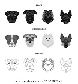 Muzzle of different breeds of dogs.Dog breed Stafford, Spitz, Risenschnauzer, German Shepherd set collection icons in black,monochrome,outline style vector symbol stock illustration web.
