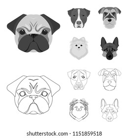 Muzzle of different breeds of dogs.Dog breed Stafford, Spitz, Risenschnauzer, German Shepherd set collection icons in outline,monochrome style vector symbol stock illustration web.