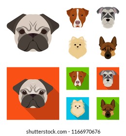 Muzzle of different breeds of dogs.Dog breed Stafford, Spitz, Risenschnauzer, German Shepherd set collection icons in cartoon,flat style vector symbol stock illustration web.