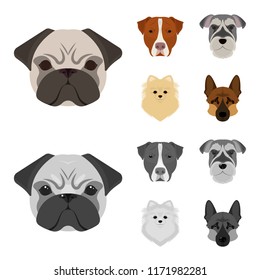 Muzzle of different breeds of dogs.Dog breed Stafford, Spitz, Risenschnauzer, German Shepherd set collection icons in cartoon,monochrome style vector symbol stock illustration web.