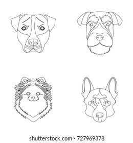 Muzzle of different breeds of dogs.Dog breed Stafford, Spitz, Risenschnauzer, German Shepherd set collection icons in outline style vector symbol stock illustration web.