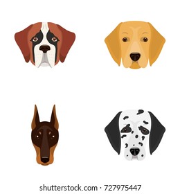 Muzzle of different breeds of dogs.Dog of the breed St. Bernard, golden retriever, Doberman, Dalmatian set collection icons in cartoon style vector symbol stock illustration web.