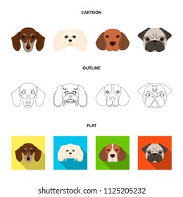 Muzzle of different breeds of dogs. Dog breed of dachshund, lapdog, beagle, pug set collection icons in cartoon, outline,flat style vector symbol stock illustration web.