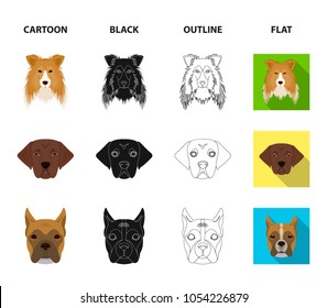 Muzzle of different breeds of dogs.Collie breed dog, lobladore, poodle, boxer set collection icons in cartoon,black,outline,flat style vector symbol stock illustration web.
